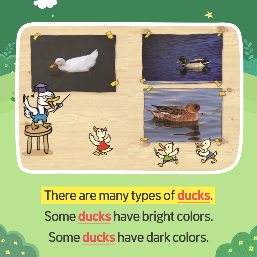 240327_동물농장 04 many types of ducks