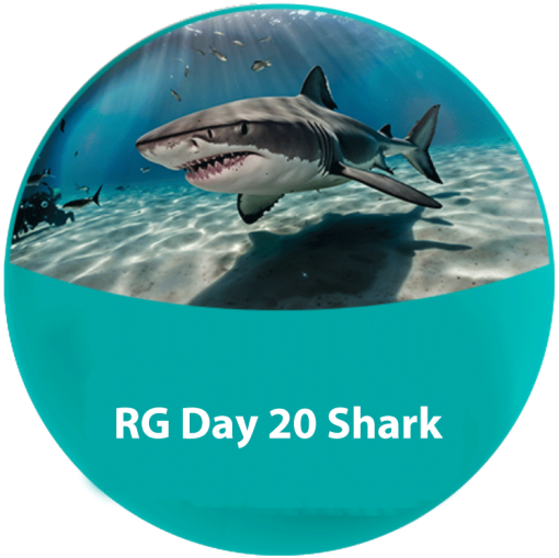 day-20-shark